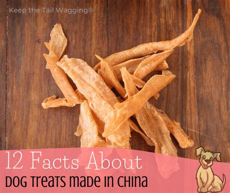 are dog treats made in china safe